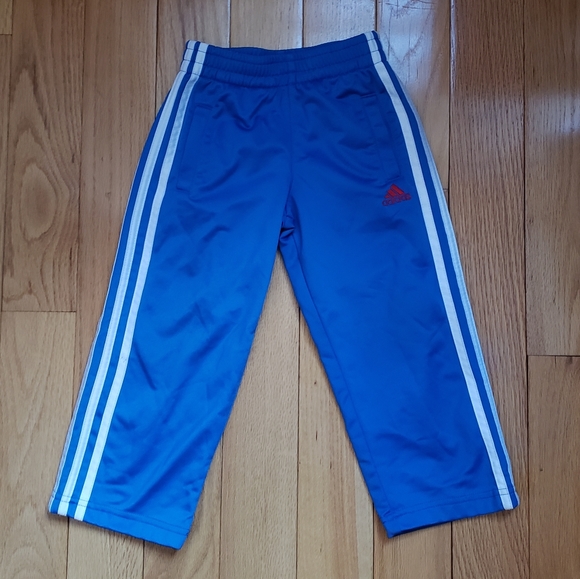 adidas baby blue track pants